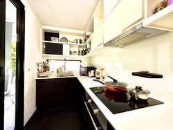 Village @ Pasir Panjang (D5), Condominium #456319321